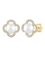 ArIsLin IonElIon 14K White Gold Diamond Fashion Earrings