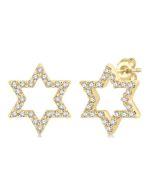 LinThRa 14K White Gold Diamond Fashion Earrings