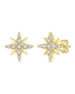 XeOnEl SolDor 14K White Gold Diamond Fashion Earrings