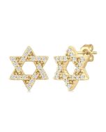 IsMirAe 14K White Gold Diamond Fashion Earrings