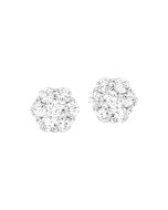 14kt White Gold Earring 1/4ctw