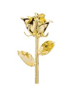 Classic 24k Gold Dipped Rose Front View