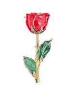 Cherry Red 24k Gold Dipped Rose Front View