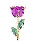 Purple Dipped Rose