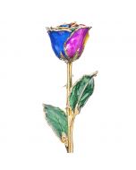 Rainbow 24k Gold Dipped Rose