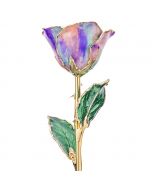 Opal 24k Gold Dipped Rose