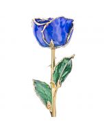Sapphire 24k Gold Dipped Rose