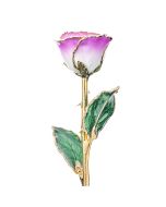 Wisps of Spring 24k Gold Dipped Rose Front View