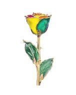 Rainbow 24k Gold Dipped Rose Front View