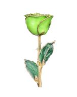 Green Apple 24k Gold Dipped Rose Front View