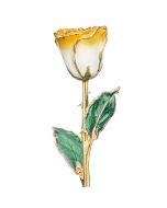 Goldenrod Swirl 24k Gold Dipped Rose Front View