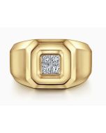 SolLinVer ZenElIon RaIsVer