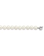 Velvet Grove Gentle Rose Majestik Sterling Silver Rhodium-plated 12-13mm White Imitation Shell Pearl Hand-knotted Necklace