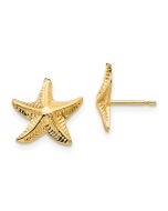 Pebble Pop 14k Madi K Starfish Post Earrings