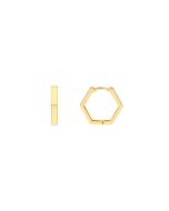 14k Yellow Gold Pentagon Earrings