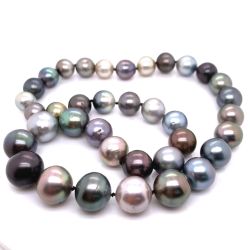 South Sea Pearl Necklace Strand
