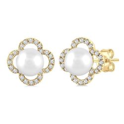 ArIsLin IonElIon 14K White Gold Diamond Fashion Earrings