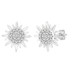 SolVel VioValAe 14K White Gold Diamond Fashion Earrings