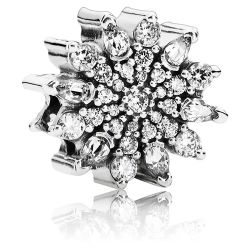Ice Crystal Charm