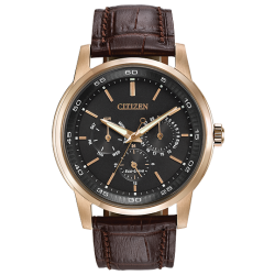 BU2013-08E Corso BU2013-08E