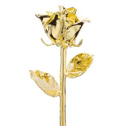 Classic 24k Gold Dipped Rose Front View