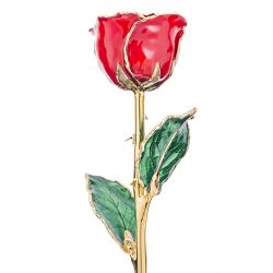 Cherry Red 24k Gold Dipped Rose Front View