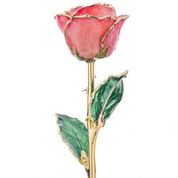Salmon Pink 24k Gold Dipped Rose Front View
