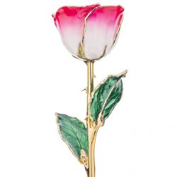 Blush and Ivory 24k Gold Dipped Rose Front View