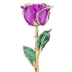 Purple 24k Gold Dipped Rose Front View