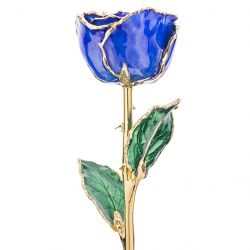 Sapphire 24k Gold Dipped Rose