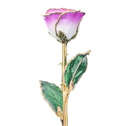 Wisps of Spring 24k Gold Dipped Rose Front View