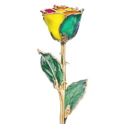 Rainbow 24k Gold Dipped Rose Front View
