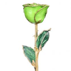 Green Apple 24k Gold Dipped Rose