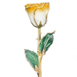 Goldenrod Swirl 24k Gold Dipped Rose Front View