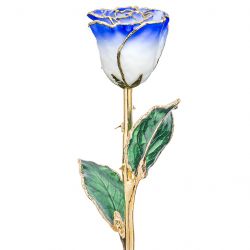Sapphire and Ghost White 24k Gold Dipped Rose Front View