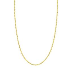 Arlisse 14K Yellow Gold 2.50mm Hollow Rolo Chain