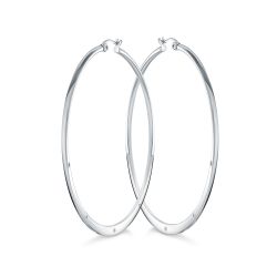 Steel Earrings
