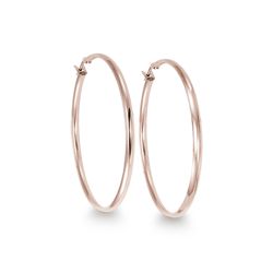 Steel Earrings