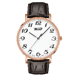 Tissot Everytime Large