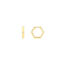 14k Yellow Gold Pentagon Earrings