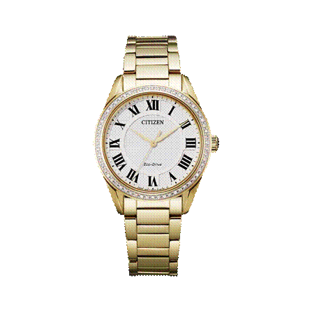 stainless steel Citizen watch