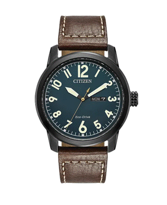 stainless steel citizen watch with leather